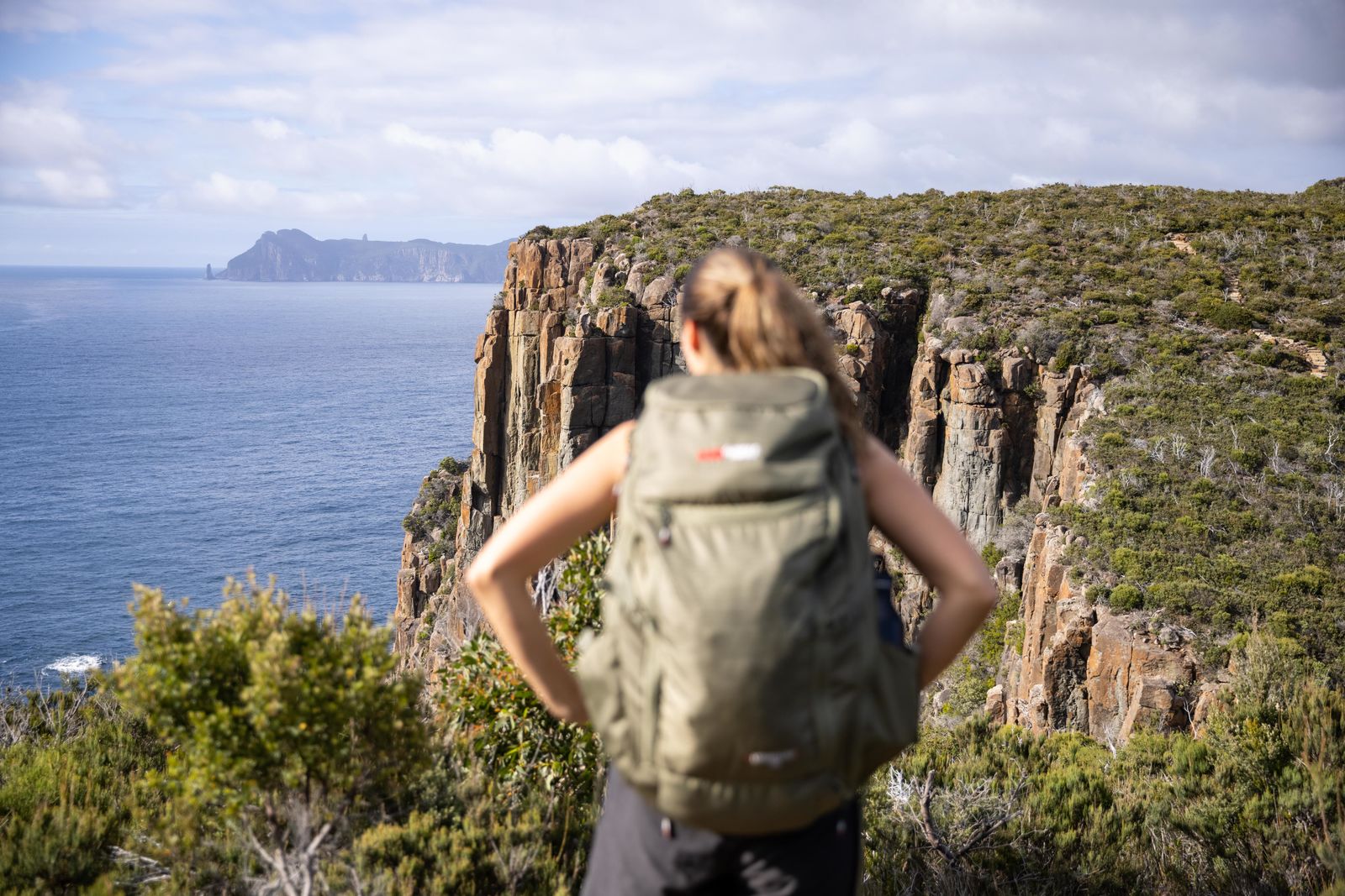 Taking care of your BlackWolf pack